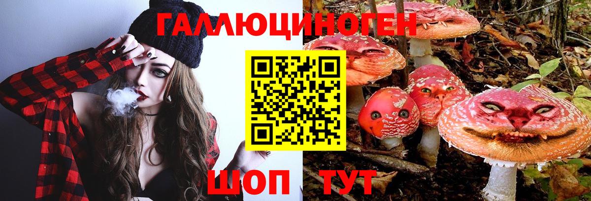 Псилоцибиновые грибы Cubensis Старая Купавна