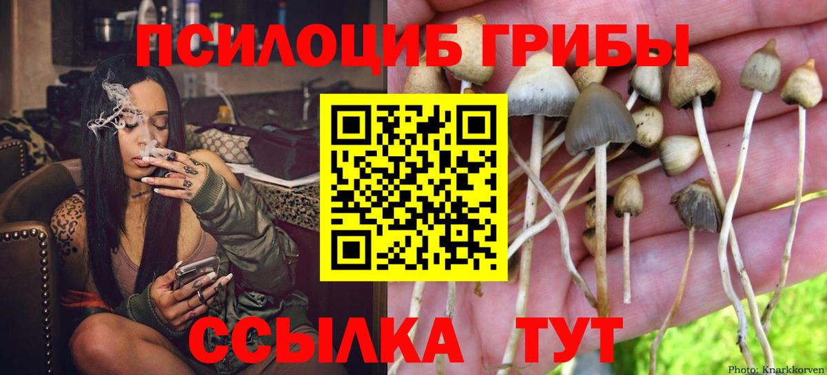 Псилоцибиновые грибы Cubensis  Вход с VPN  Старая Купавна  магазин продажи наркотиков  Псилоцибиновые грибы Magic Shrooms 